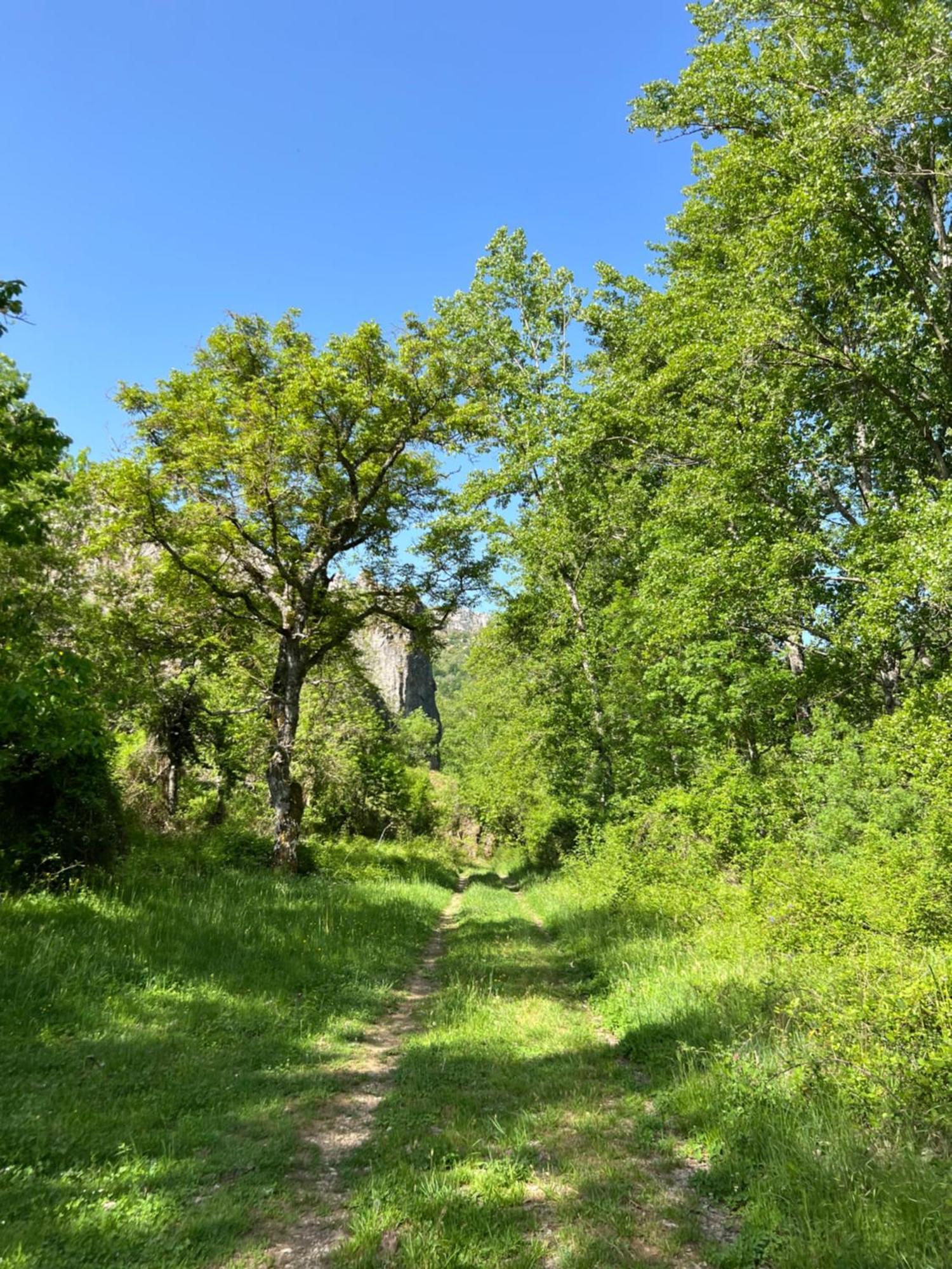 El Refugio I De Verdiago Dış mekan fotoğraf